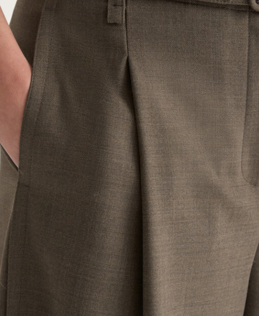 Wool Blend Belted One-Tuck Back Banding Pants